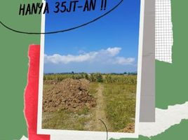  Land for sale in Jenggawah, Jember, Jenggawah