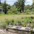 Terrain for sale in Yogyakarta, Ngaglik, Sleman, Yogyakarta