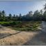  Land for sale in Bantul, Yogyakarta, Sedayu, Bantul