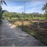  Land for sale in Bantul, Yogyakarta, Sedayu, Bantul