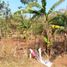  Terreno (Parcela) en venta en Sumurbandung, West Jawa, Sumurbandung, Bandung