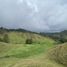 Terrain à vendre à La Ceja, Antioquia, La Ceja, Antioquia