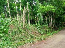  Tanah for sale in Yogyakarta, Pajangan, Bantul, Yogyakarta