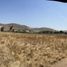  Land for rent in Tijuana, Baja California, Tijuana, Baja California