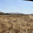  Land for rent in Tijuana, Baja California, Tijuana, Baja California