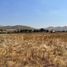  Land for rent in Tijuana, Baja California, Tijuana, Baja California