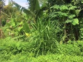  Land for sale in Yogyakarta, Gamping, Sleman, Yogyakarta