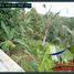  Land for sale in Selemadeg, Tabanan, Selemadeg