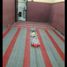 4 Habitación Casa en venta en Tenggilis Mejoyo, East Jawa, Tenggilis Mejoyo, Surabaya, East Jawa