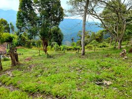 Estudio Casa en venta en Colombia, La Tebaida, Quindio, Colombia