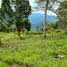 Studio Villa for sale in La Tebaida, Quindio, La Tebaida