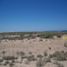  Land for sale in Pitiquito, Sonora, Pitiquito