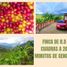 4 Bedroom Villa for sale in Genova, Quindio, Genova