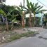  Land for sale in Yogyakarta, Seyegan, Sleman, Yogyakarta