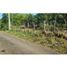  Land for sale in Chiriqui, Dolega, Dolega, Chiriqui