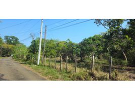  Terreno (Parcela) en venta en Chiriquí, Dolega, Dolega, Chiriquí