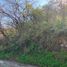  Land for sale in Zapopan, Jalisco, Zapopan, Jalisco