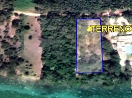  Terreno (Parcela) en venta en Othon P Blanco, Quintana Roo, Othon P Blanco