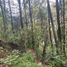  Land for sale in Jilotzingo, Mexico, Jilotzingo