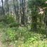 Land for sale in Jilotzingo, Mexico, Jilotzingo