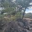 Land for sale in Mexquitic De Carmona, San Luis Potosi, Mexquitic De Carmona, San Luis Potosi