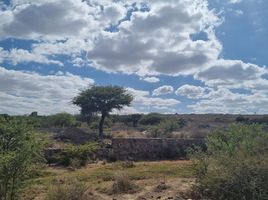  Land for sale in Mexquitic De Carmona, San Luis Potosi, Mexquitic De Carmona, San Luis Potosi