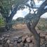  Land for sale in Mexquitic De Carmona, San Luis Potosi, Mexquitic De Carmona, San Luis Potosi
