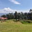  Land for sale in Cumbaya, Pichincha, Cumbaya