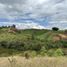  Land for sale in Marinilla, Antioquia, Marinilla