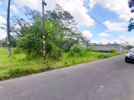  Land for sale in Yogyakarta, Mlati, Sleman, Yogyakarta