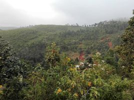  Grundstück zu verkaufen in San Cristobal De Las Casas, Chiapas, San Cristobal De Las Casas