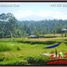  Land for sale in Gianyar Bali, Tegallalang
