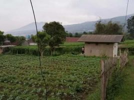  Grundstück zu verkaufen in Lembang, West Jawa, Lembang, Bandung, West Jawa, Indonesien