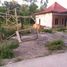 3 Bedroom House for sale in Polanharjo, Klaten, Polanharjo