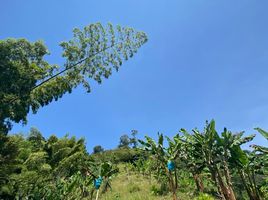  Terreno (Parcela) en venta en Caldas, Manizales, Caldas