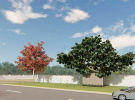  Land for sale in Tixkokob, Yucatan, Tixkokob