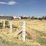  Terreno (Parcela) en venta en Morelos, Zacatecas, Morelos