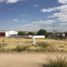  Terreno (Parcela) en venta en Morelos, Zacatecas, Morelos