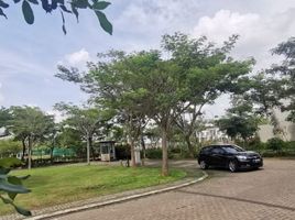  Land for sale in Lebak, Banten, Banjarsari, Lebak