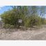  Land for sale in Montemorelos, Nuevo Leon, Montemorelos