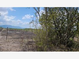  Land for sale in Montemorelos, Nuevo Leon, Montemorelos