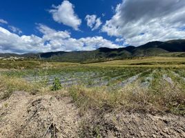  Terreno (Parcela) en venta en Catamayo (La Toma), Catamayo, Catamayo (La Toma)