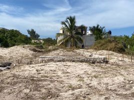  Terrain for sale in Yucatan, Chicxulub Pueblo, Yucatan