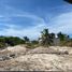  Terrain for sale in Yucatan, Chicxulub Pueblo, Yucatan