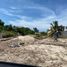  Terrain for sale in Yucatan, Chicxulub Pueblo, Yucatan