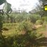  Land for sale in Mlati, Sleman, Mlati