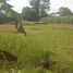  Land for sale in Mlati, Sleman, Mlati