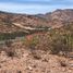  Land for sale in Guaymas, Sonora, Guaymas