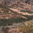  Grundstück zu verkaufen in Guaymas, Sonora, Guaymas
