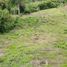  Land for sale in Kerambitan, Tabanan, Kerambitan